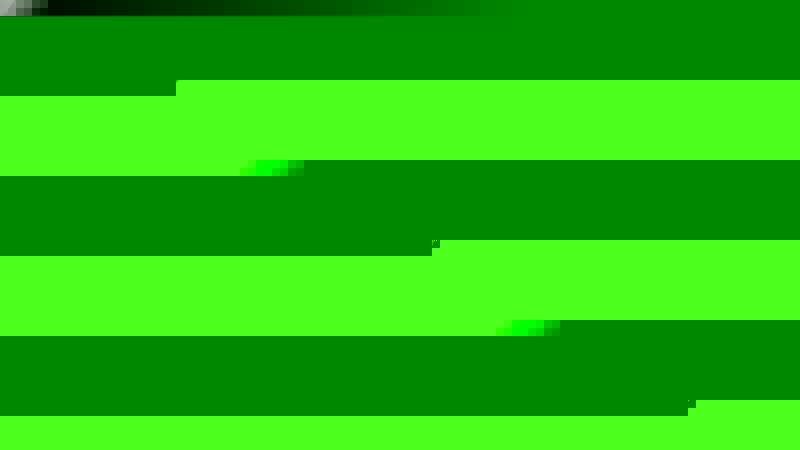 20251