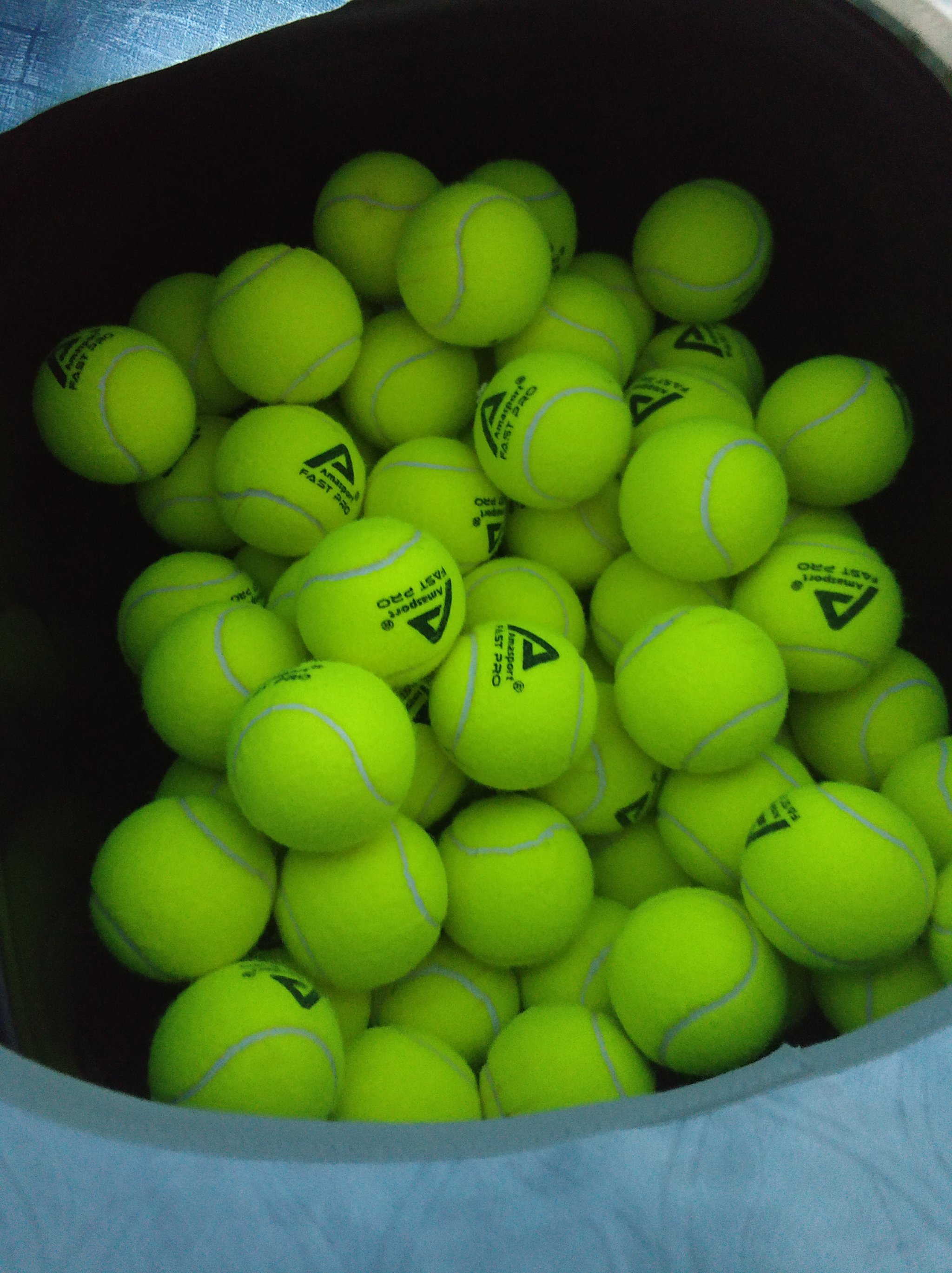 为球队赢得 为球队赢得