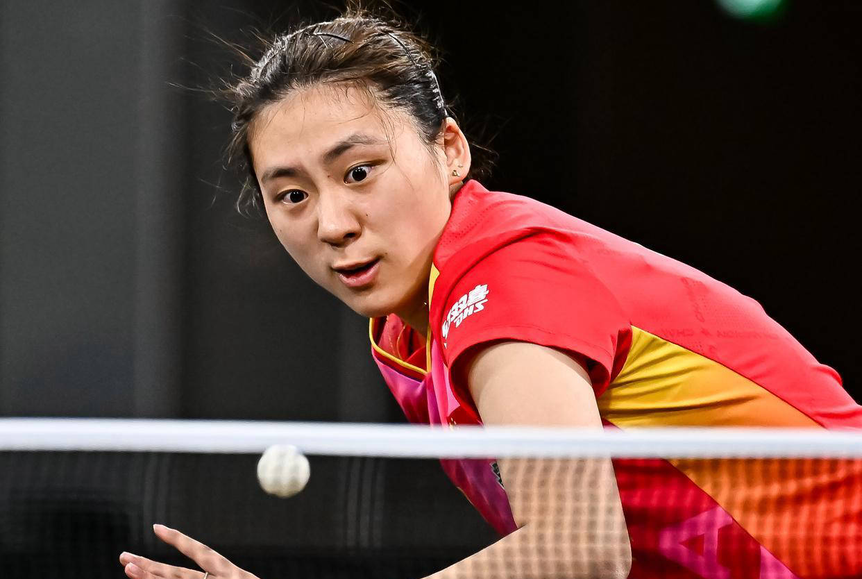 建立了良好 建立了良好